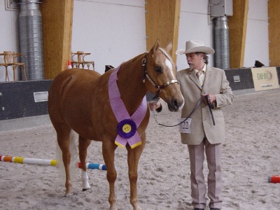 Belgien 2005