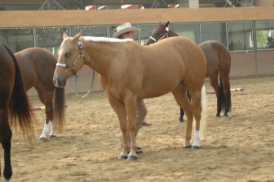 Bunschoten 2005