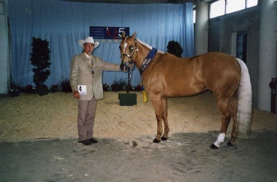 Europa Champion Bronze.