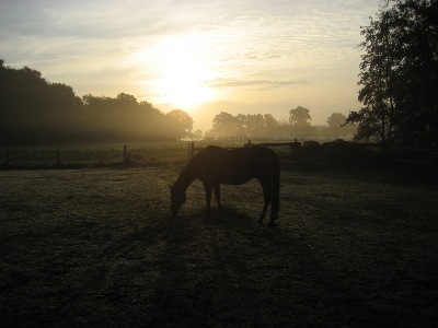 10/2008  Am frühen Morgen