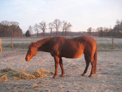 Bild vom 19.02 2009